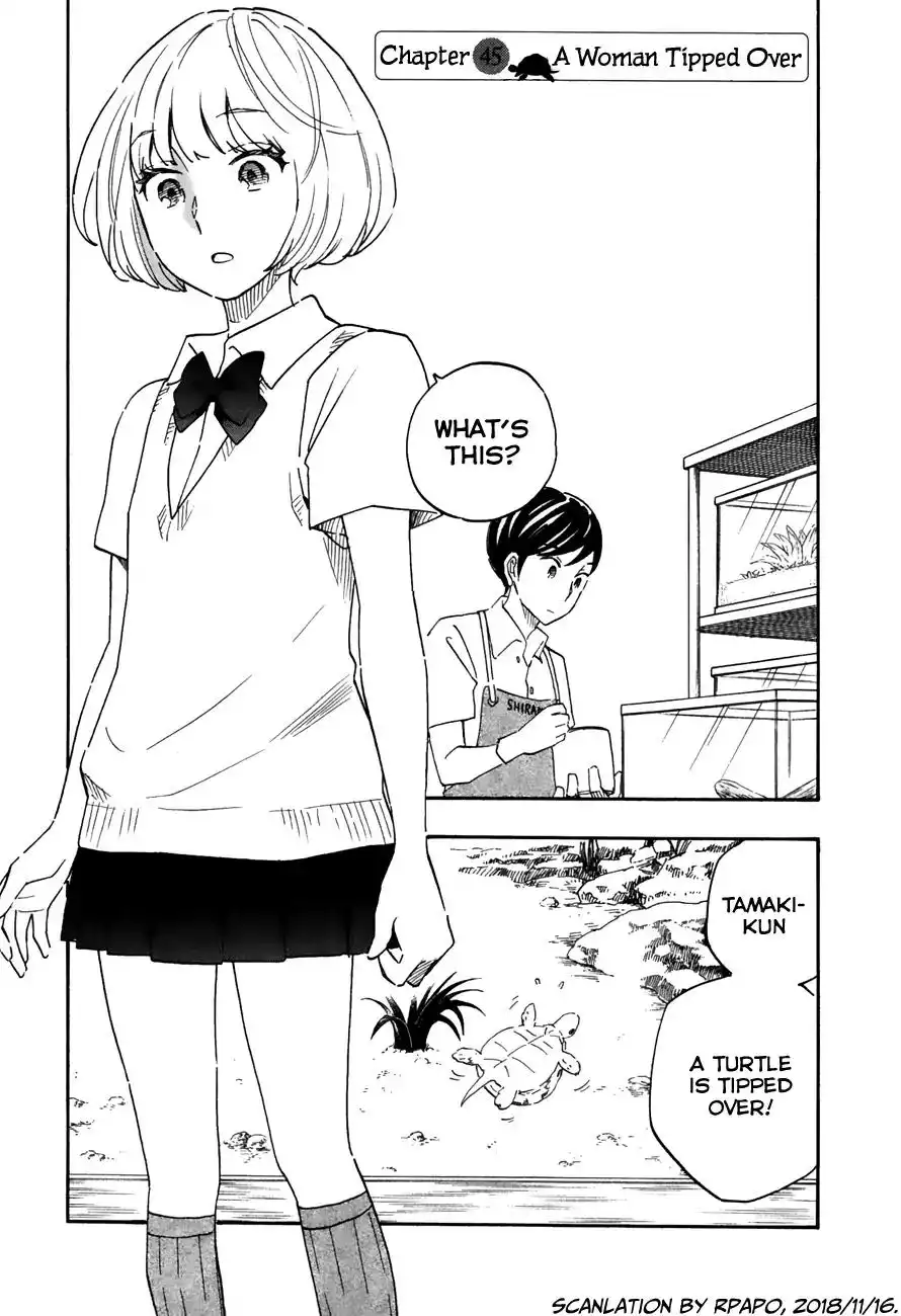 Between Smooth and Rough Chapter 45 1